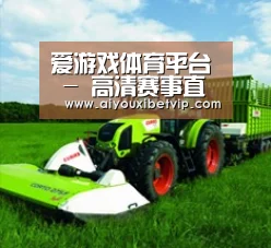 关于爱游戏百家乐