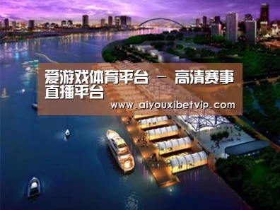 案例展示八