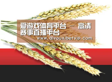 爱游戏体育平台 - 高清赛事直播平台