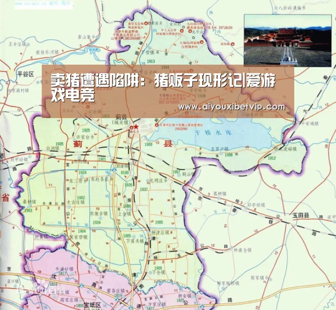爱游戏登录